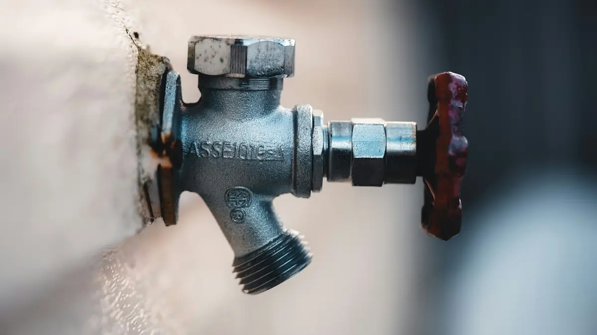 An outdoor hose faucet coming out of a wall - Basement Leak Detection in Revere